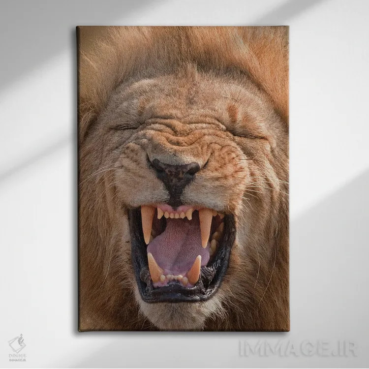 تابلو دکوراتیو اثر میگل لاسا - نمای روبهرو روی دیوار