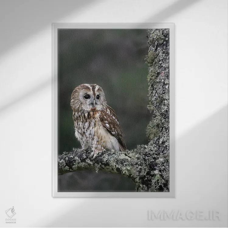 تابلو دکوراتیو اثر میگل لاسا - نمای قابدار سفید