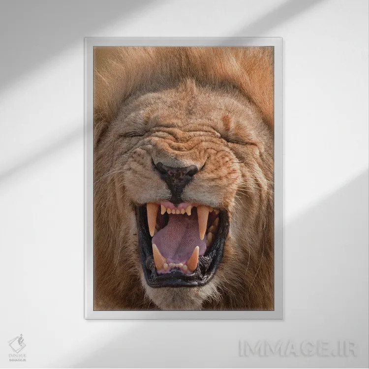 تابلو دکوراتیو اثر میگل لاسا - نمای قابدار سفید