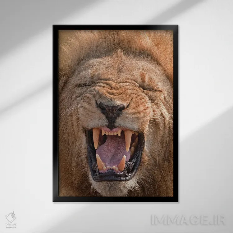 تابلو دکوراتیو اثر میگل لاسا - نمای قابدار مشکی