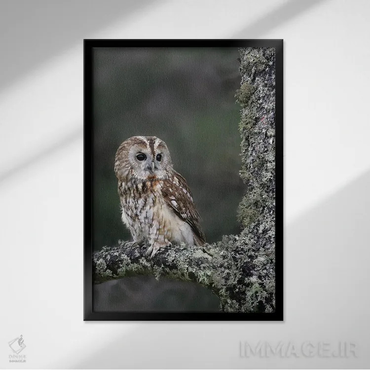 تابلو دکوراتیو اثر میگل لاسا - نمای قابدار مشکی