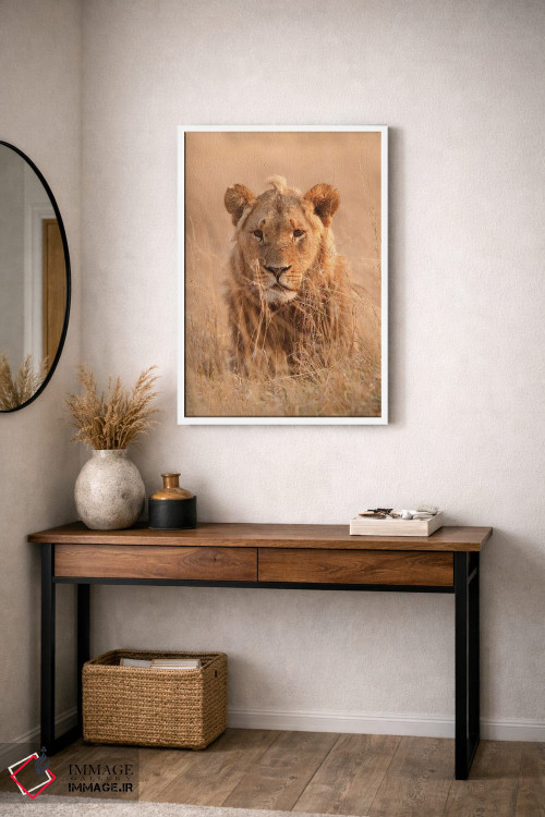 تابلو دکوراتیو اثر میگل لاسا - D3W