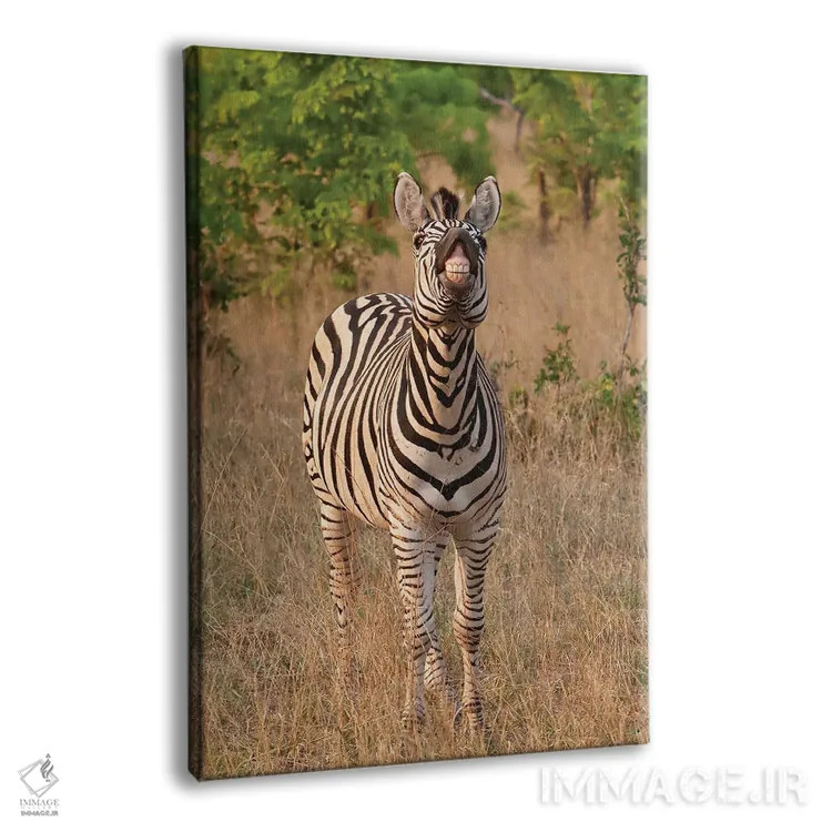 تابلو دکوراتیو اثر میگل لاسا - نمای پرسپکتیو محصول