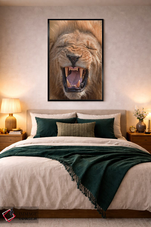 تابلو دکوراتیو اثر میگل لاسا - D3B