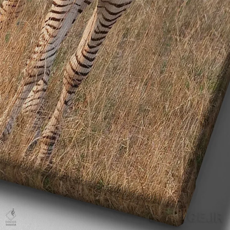 تابلو دکوراتیو اثر میگل لاسا - نمای نزدیک بافت بوم