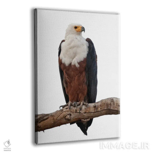 تابلو دکوراتیو اثر میگل لاسا - نمای پرسپکتیو محصول