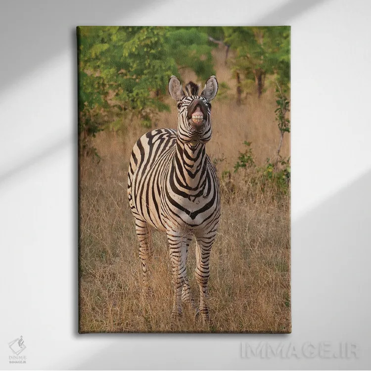 تابلو دکوراتیو اثر میگل لاسا - نمای روبهرو روی دیوار