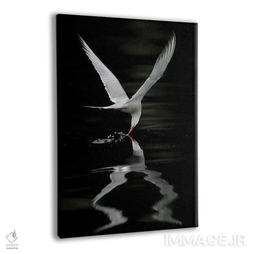 تابلو دکوراتیو اثر میگل لاسا - نمای پرسپکتیو محصول