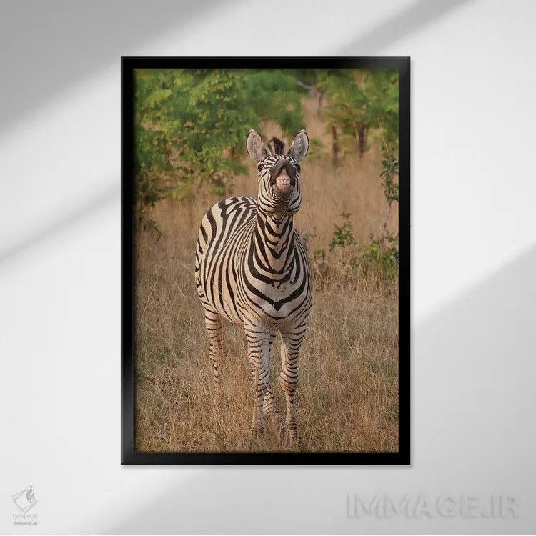 تابلو دکوراتیو اثر میگل لاسا - نمای قابدار مشکی