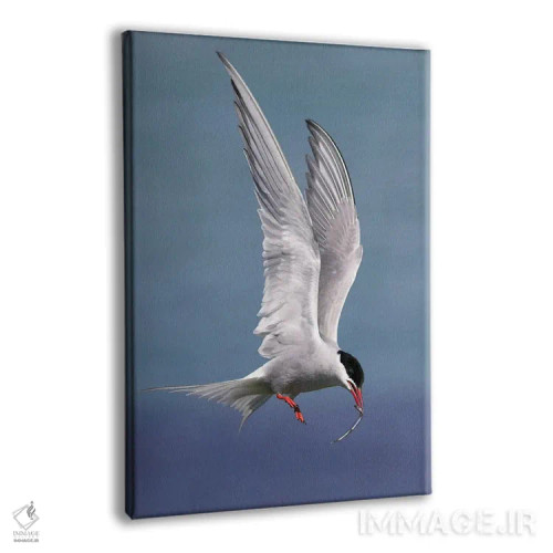 تابلو دکوراتیو اثر میگل لاسا - نمای پرسپکتیو محصول