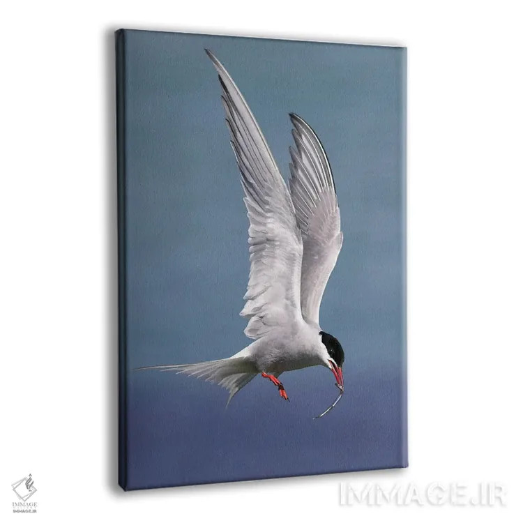 تابلو دکوراتیو اثر میگل لاسا - نمای پرسپکتیو محصول