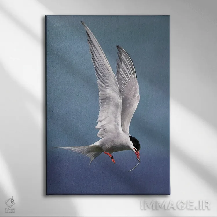 تابلو دکوراتیو اثر میگل لاسا - نمای روبهرو روی دیوار