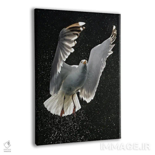 تابلو دکوراتیو اثر میگل لاسا - نمای پرسپکتیو محصول