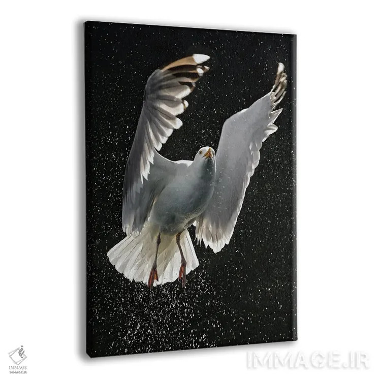 تابلو دکوراتیو اثر میگل لاسا - نمای پرسپکتیو محصول