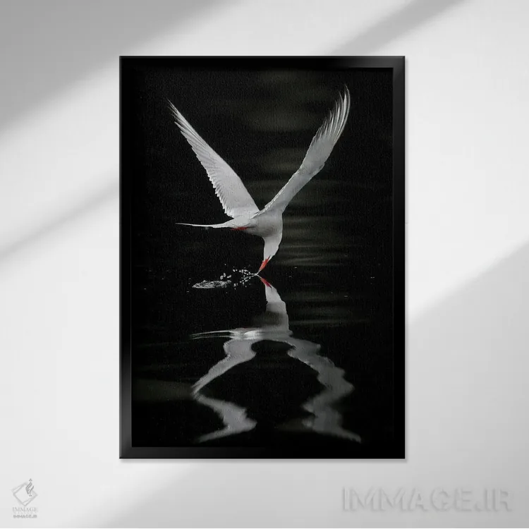 تابلو دکوراتیو اثر میگل لاسا - نمای قابدار مشکی