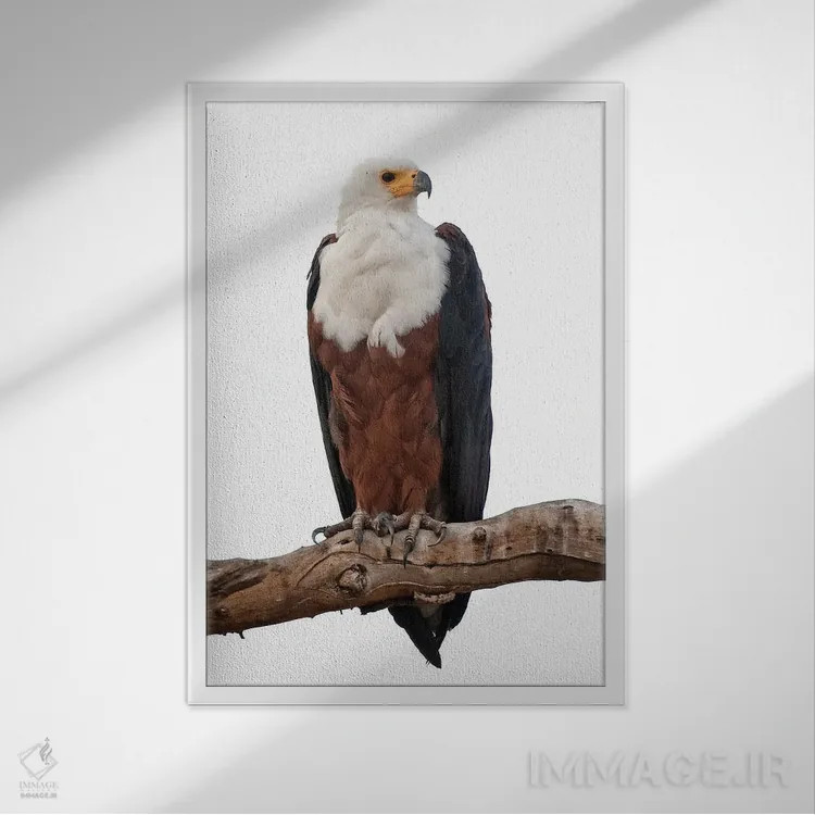 تابلو دکوراتیو اثر میگل لاسا - نمای قابدار سفید