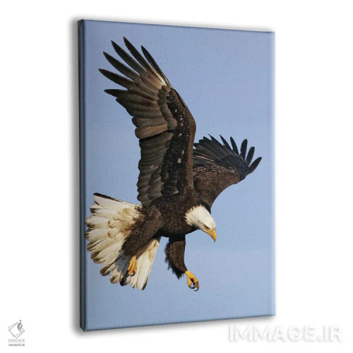 تابلو دکوراتیو اثر میگل لاسا - نمای پرسپکتیو محصول