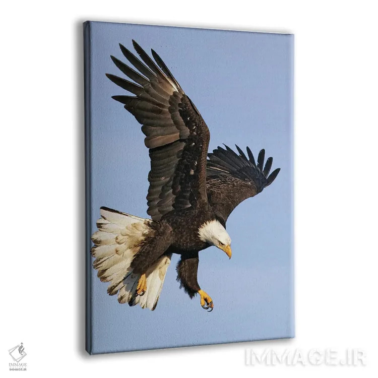 تابلو دکوراتیو اثر میگل لاسا - نمای پرسپکتیو محصول