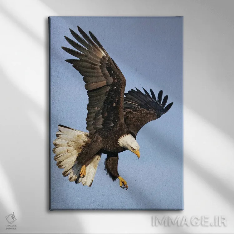 تابلو دکوراتیو اثر میگل لاسا - نمای روبهرو روی دیوار