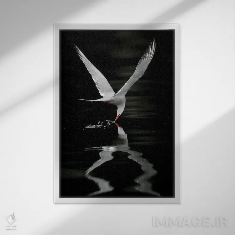 تابلو دکوراتیو اثر میگل لاسا - نمای قابدار سفید