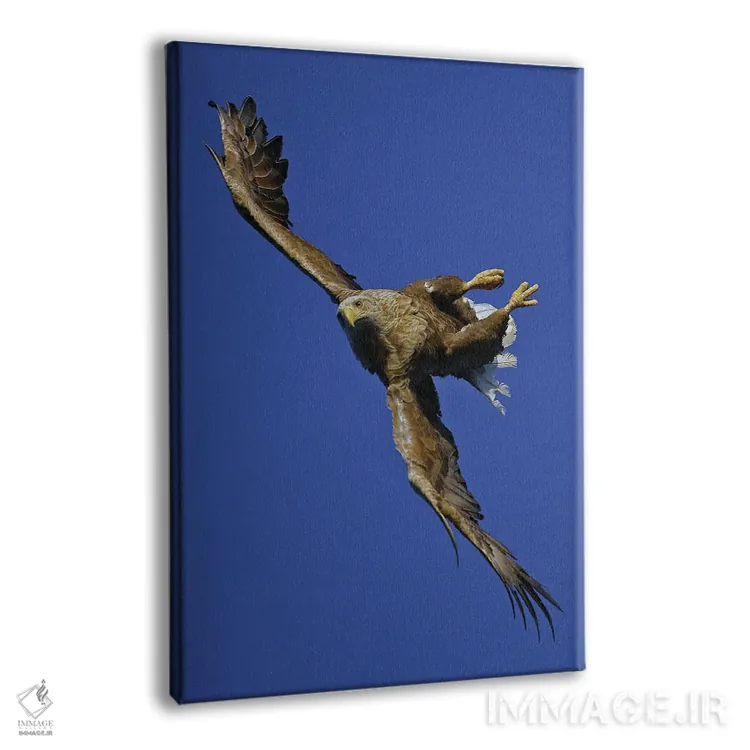 تابلو دکوراتیو اثر میگل لاسا - نمای پرسپکتیو محصول