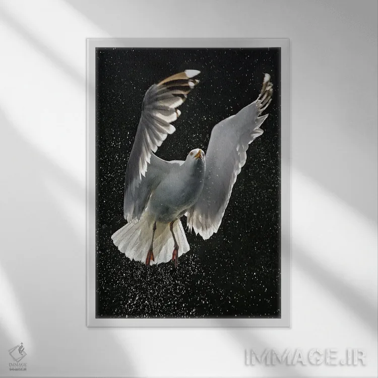 تابلو دکوراتیو اثر میگل لاسا - نمای قابدار سفید