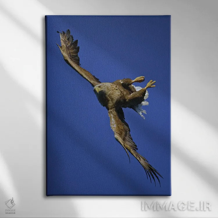 تابلو دکوراتیو اثر میگل لاسا - نمای روبهرو روی دیوار