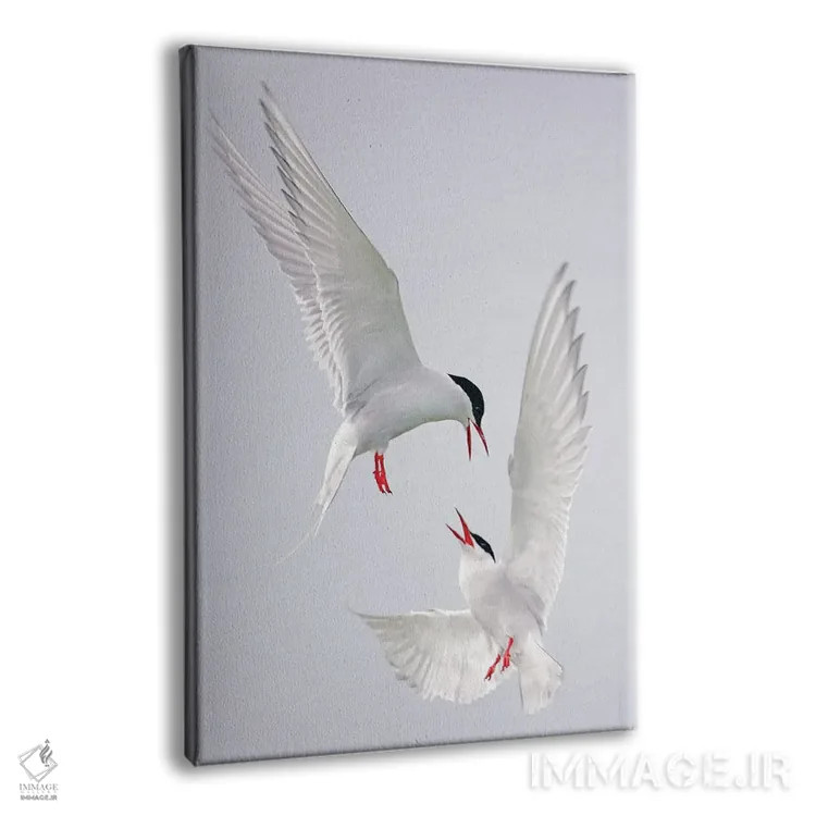 تابلو دکوراتیو اثر میگل لاسا - نمای پرسپکتیو محصول