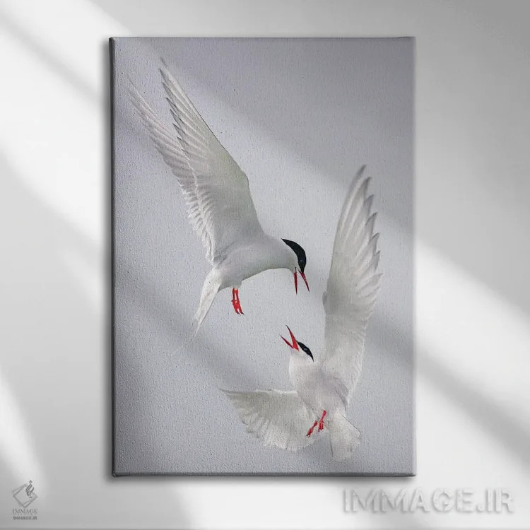 تابلو دکوراتیو اثر میگل لاسا - نمای روبهرو روی دیوار