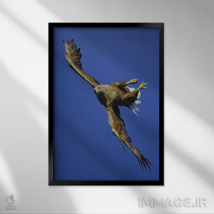 تابلو دکوراتیو اثر میگل لاسا - نمای قابدار مشکی