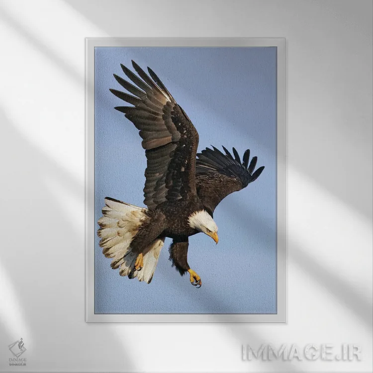 تابلو دکوراتیو اثر میگل لاسا - نمای قابدار سفید