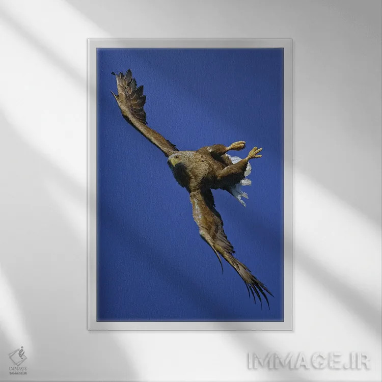 تابلو دکوراتیو اثر میگل لاسا - نمای قابدار سفید