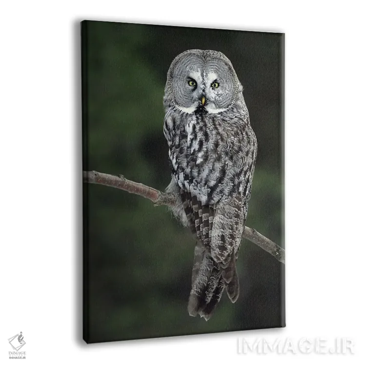 تابلو دکوراتیو اثر میگل لاسا - نمای پرسپکتیو محصول