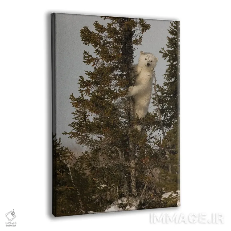 تابلو دکوراتیو اثر میگل لاسا - نمای پرسپکتیو محصول