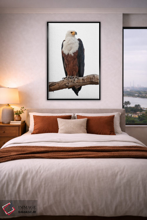 تابلو دکوراتیو اثر میگل لاسا - D4B