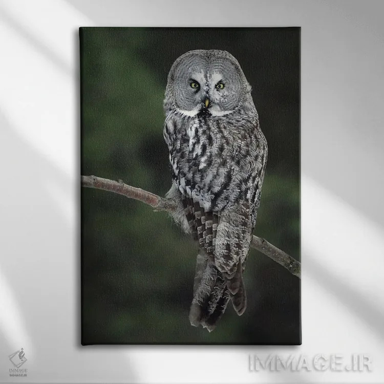 تابلو دکوراتیو اثر میگل لاسا - نمای روبهرو روی دیوار