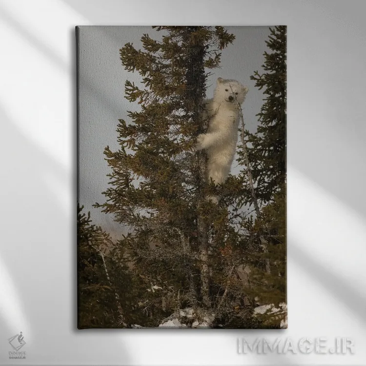 تابلو دکوراتیو اثر میگل لاسا - نمای روبهرو روی دیوار