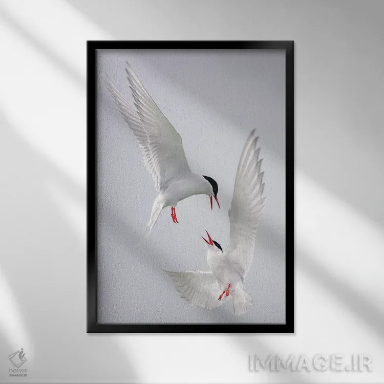 تابلو دکوراتیو اثر میگل لاسا - نمای قابدار مشکی