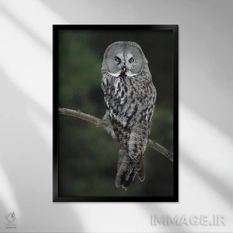 تابلو دکوراتیو اثر میگل لاسا - نمای قابدار مشکی