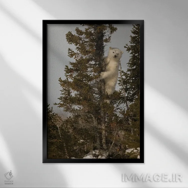 تابلو دکوراتیو اثر میگل لاسا - نمای قابدار مشکی