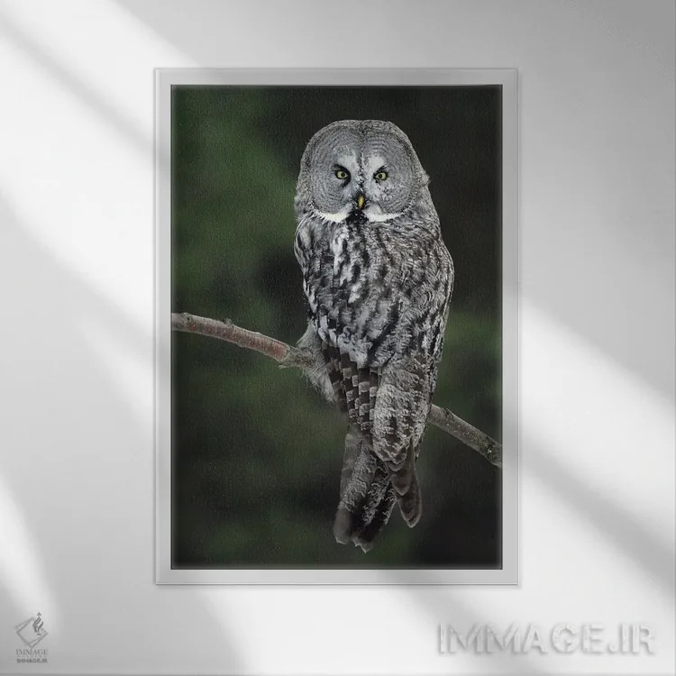 تابلو دکوراتیو اثر میگل لاسا - نمای قابدار سفید