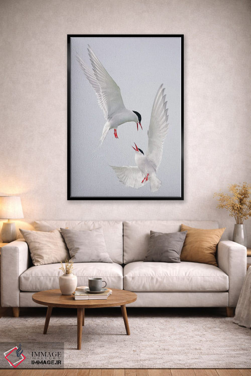 تابلو دکوراتیو اثر میگل لاسا - D2B