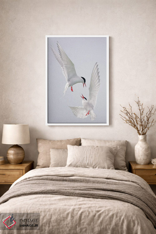 تابلو دکوراتیو اثر میگل لاسا - D1W