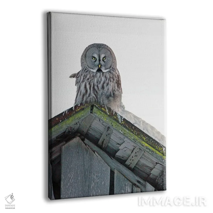 تابلو دکوراتیو اثر میگل لاسا - نمای پرسپکتیو محصول