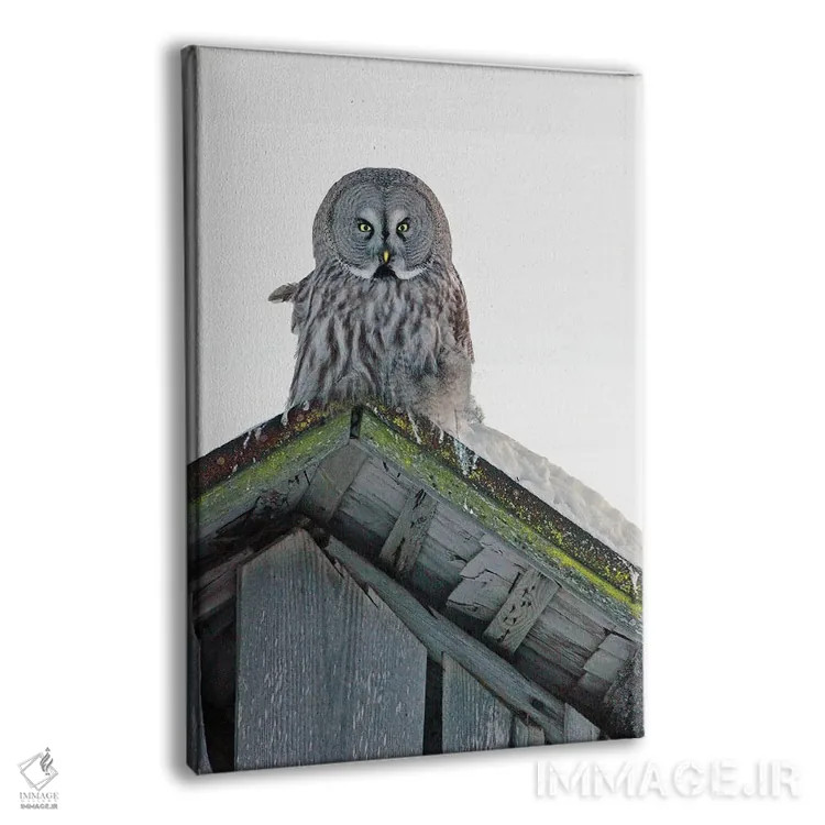 تابلو دکوراتیو اثر میگل لاسا - نمای پرسپکتیو محصول