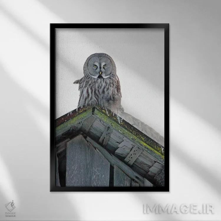 تابلو دکوراتیو اثر میگل لاسا - نمای قابدار مشکی