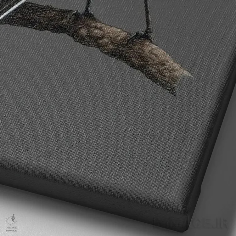 تابلو دکوراتیو دارکوب سفید اثر میخائیل ودرنیکوف - نمای نزدیک بافت بوم