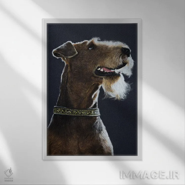 تابلو دکوراتیو آیر دیل تریر اثر میخائیل ودرنیکوف - نمای قابدار سفید