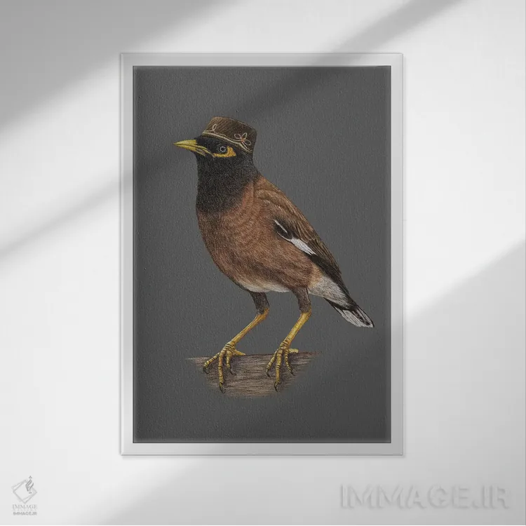 تابلو دکوراتیو ماینای معمولی اثر میخائیل ودرنیکوف - نمای قابدار سفید