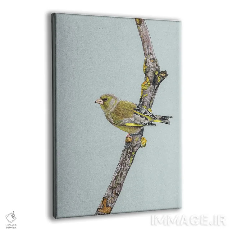 تابلو دکوراتیو سبزمرغ اثر میخائیل ودرنیکوف - نمای پرسپکتیو محصول